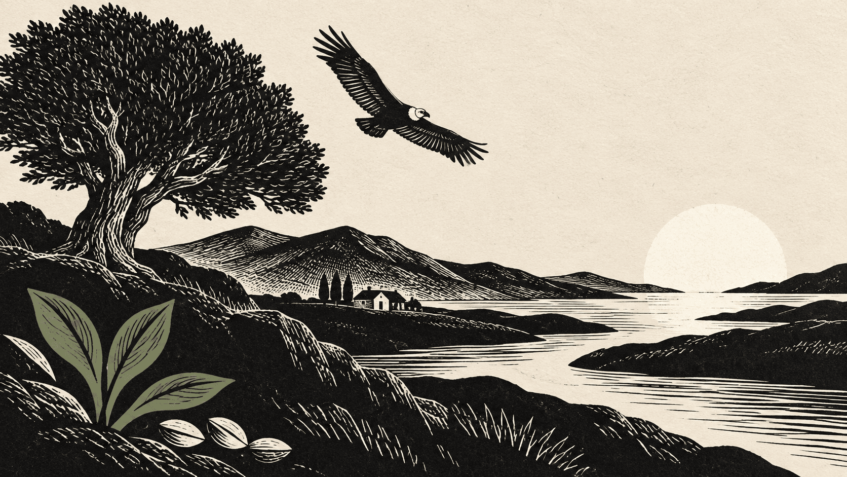 Ilustración de un paisaje con un árbol, un cóndor y un lago al atardecer